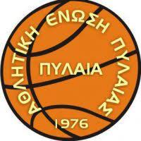 team logo