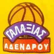 ΓΑΛΑΞΙΑΣ Α.Μ.Σ. ΑΔΕΝΔΡΟΥ - team logo