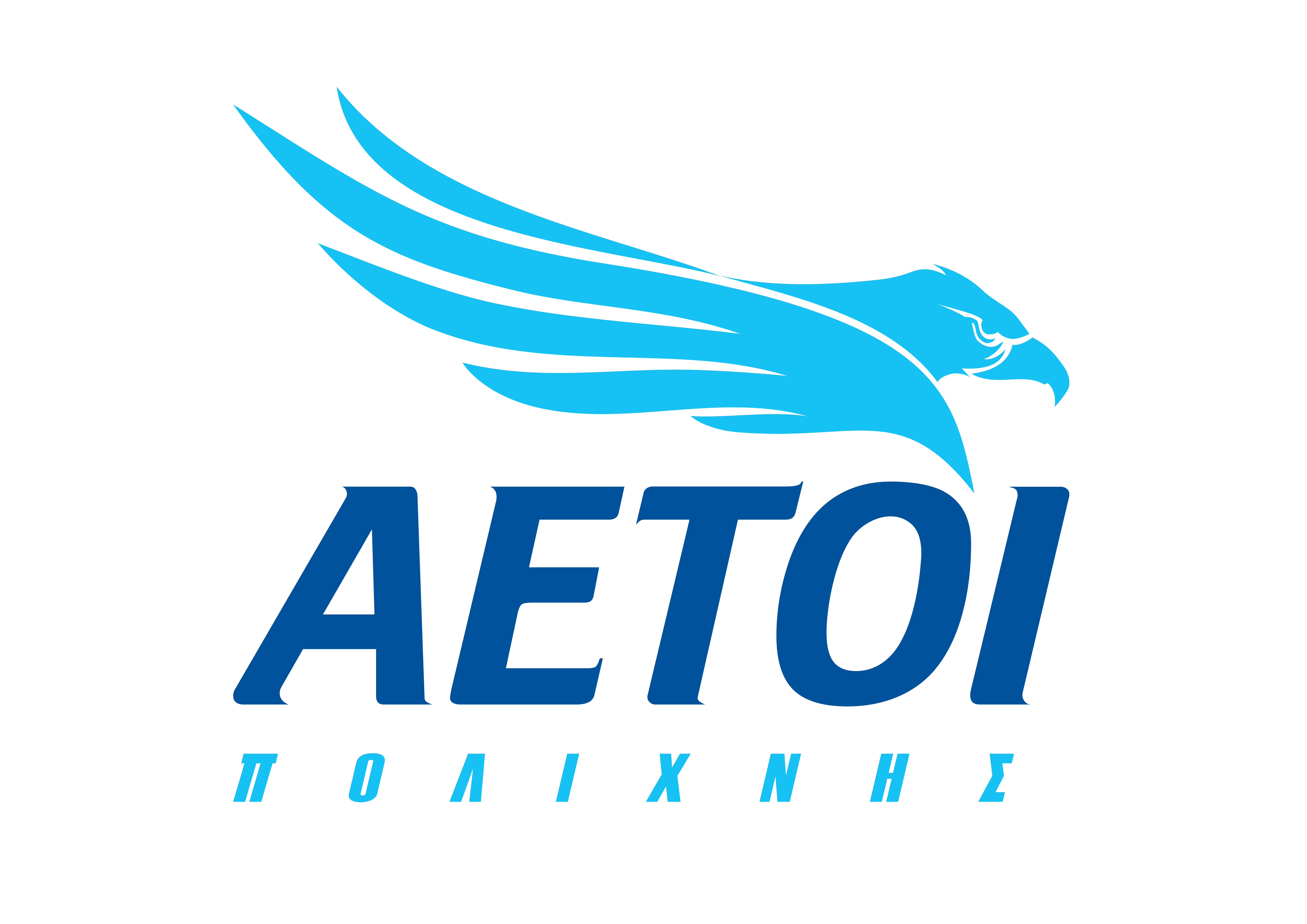 ΑΕΤΟΙ ΠΟΛΙΧΝΗΣ Α.Σ. - team logo